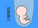 武汉代怀孕初期孕酮值为13ngml，医生说偏低，那正常值是多